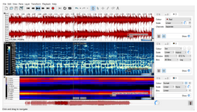 sonic visualiser pitch sonic visualiser pitch